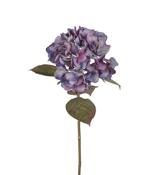 Hovedbilde Hortensia 65 cm (blå)