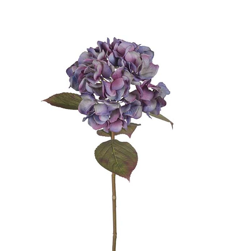 Hortensia 65 cm (blå)