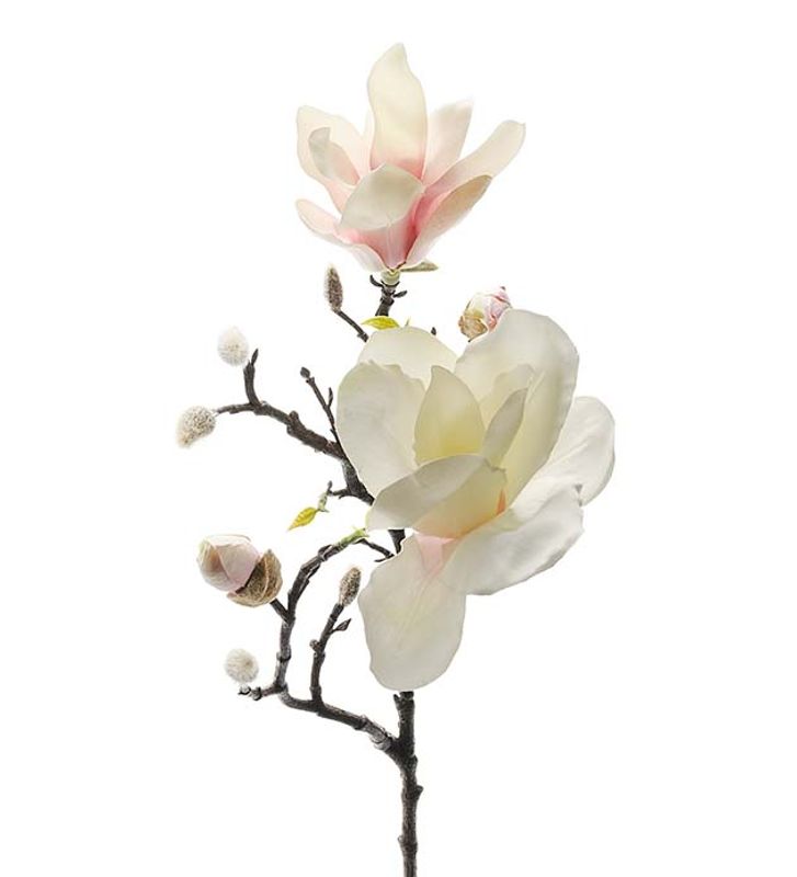 Magnolia 60 cm (hvit og rosa)