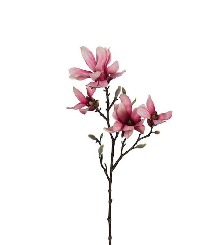 Magnolia 50 cm (rosa)